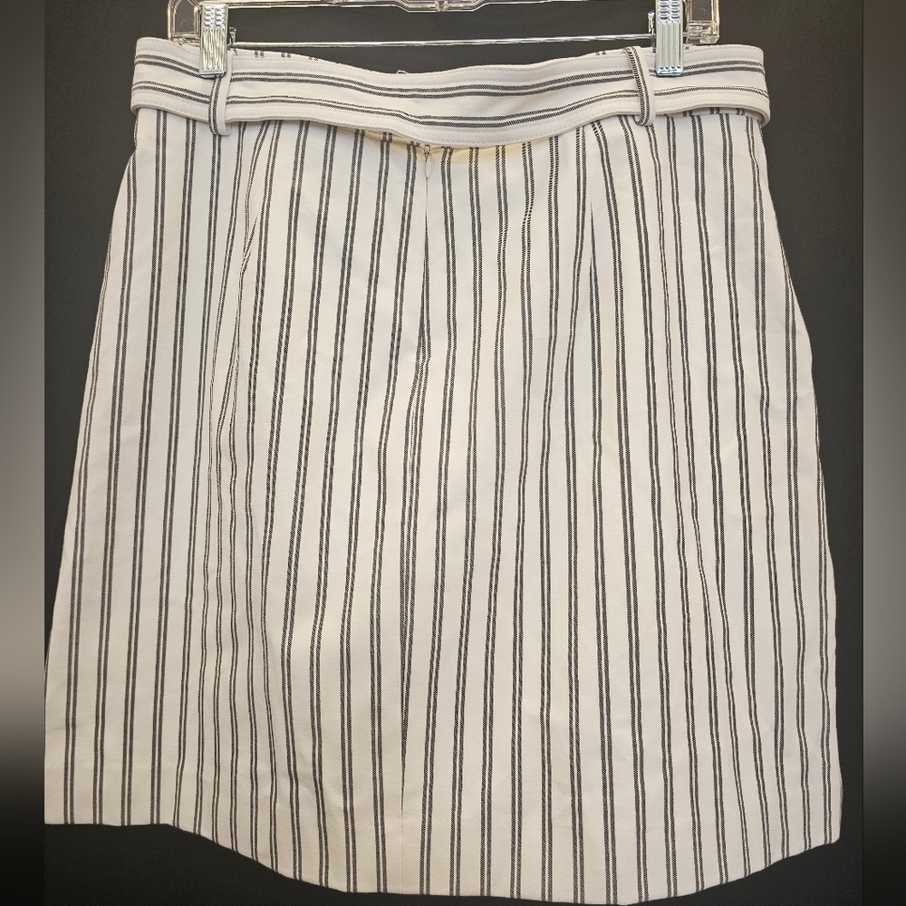 Ann Taylor, pinstripe, office, travel, vacation, casual, belt, streetwear - Picture 3 of 5